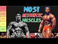 The ULTIMATE Aesthetic Muscles Tier List (Beginners&#39; Guide) 😤