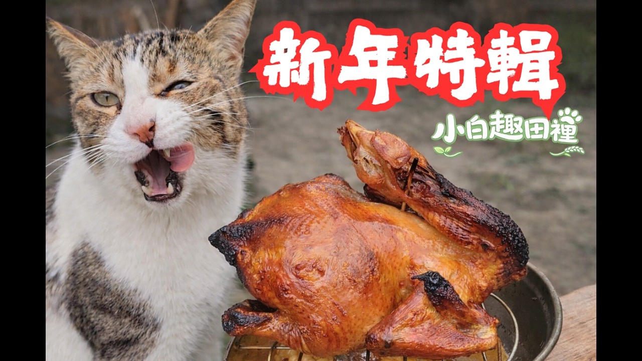 小白趣田裡EP6－與友人在田裡烤桶仔雞