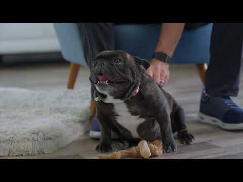Tell me more about your Coffee+Coco Rope chews