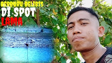 Berburu belibis di spot lama.