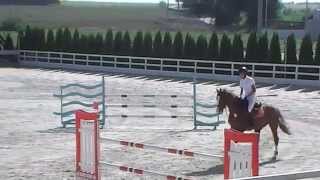 150808 Роман Ведмидь IIC & For Joy 05 Жашков 130 см 150808 Роман Ведмидь IIC & For Joy 05 Жашков 130 см