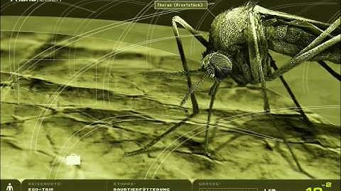 nanoreisen - Adventures beyond the decimal