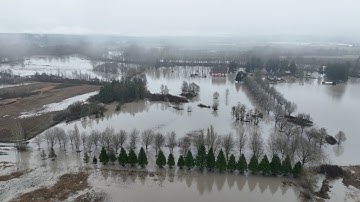 Northwest Washington Flooding | Nooksack River Flooding in Ferndale | Whatcom Couunty