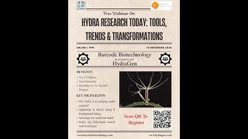 Webinar: Hydra Research Today – Tools, Trends & Transformations