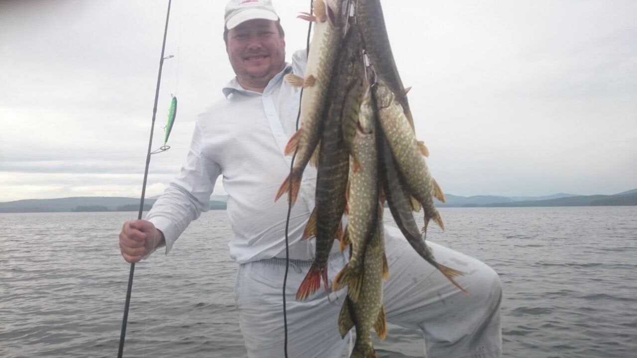 Клев аргази. Аргазинское водохранилище рыбалка. Рыбалка на Аргази озеро в Челябинской. Аргази щука рыбалка. Рыбалка на Аргазинском водохранилище летом.