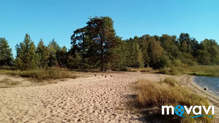 MovaviClipsBusiness Video 2