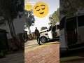 يانمر ياغالي mp3