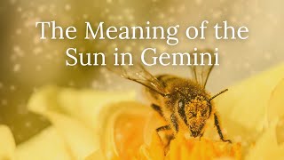 Celebrity The Meaning of the Sun in Gemini Net Worth
