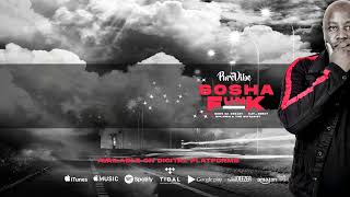 PureVibe - Sosha Funk (Visualiser)