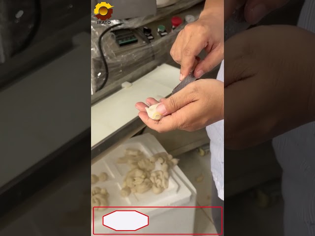 Đôc lạ máy làm bánh Hotteok dạng thanh dài| Hotline 0936.686.030 | VinaIrato