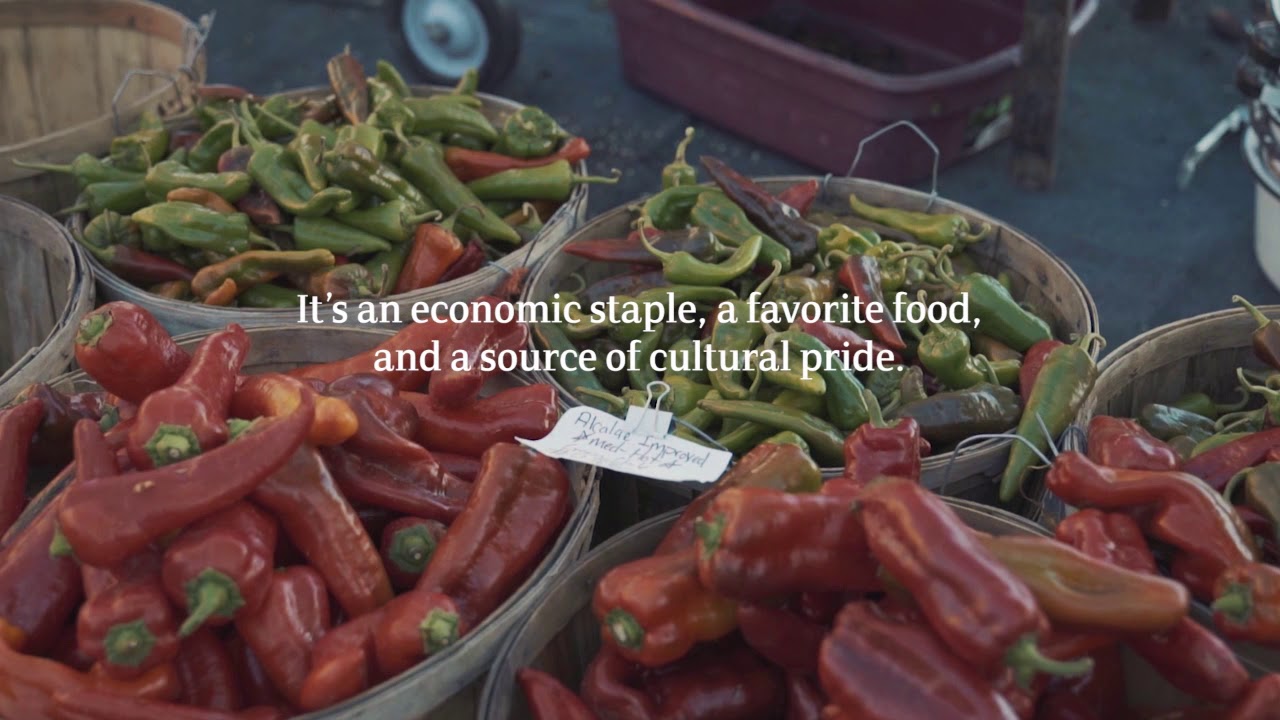 Value Water Santa Fe Food Security YouTube