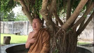 Tanya jawab meditasi - Y.M Bhante Uttamo