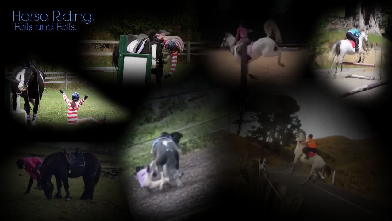 Horse falls & fails Tali equine. YouTube