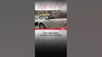 Bắt 4 nghi phạm trong vụ tạt sơn lên 6 ô tô để "dằn mặt", ép phải gửi vào bãi #antv #oto #tatson