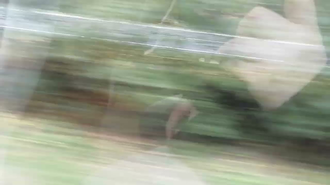 (DB Regio Bayern) RB62 von Pleinfeld in Richtung wassertrüdingen über Gunzenhausen 