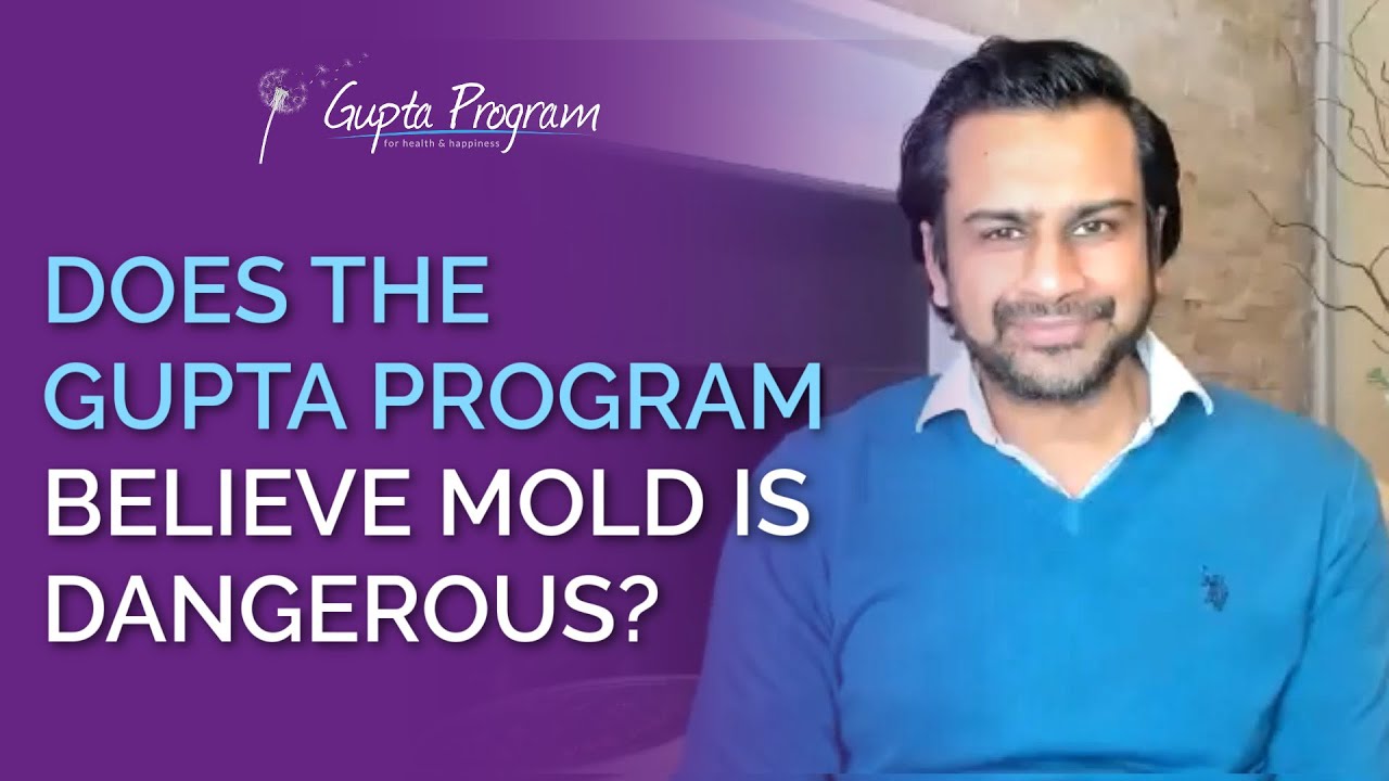 Does Gupta Program Believe Mold Is Dangerous? | Ashok Gupta | Gupta Program |
