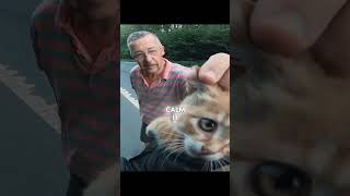 Biker Saves Tiny Kitten