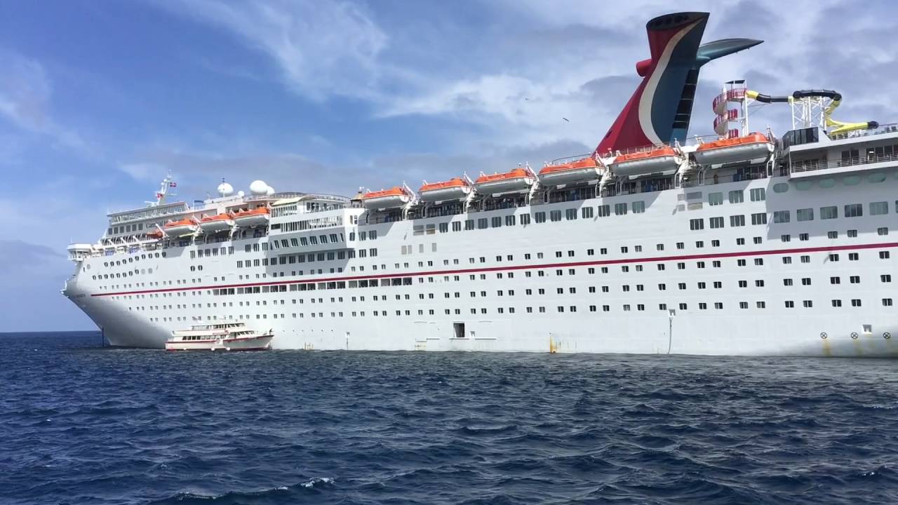 ensenada catalina cruise