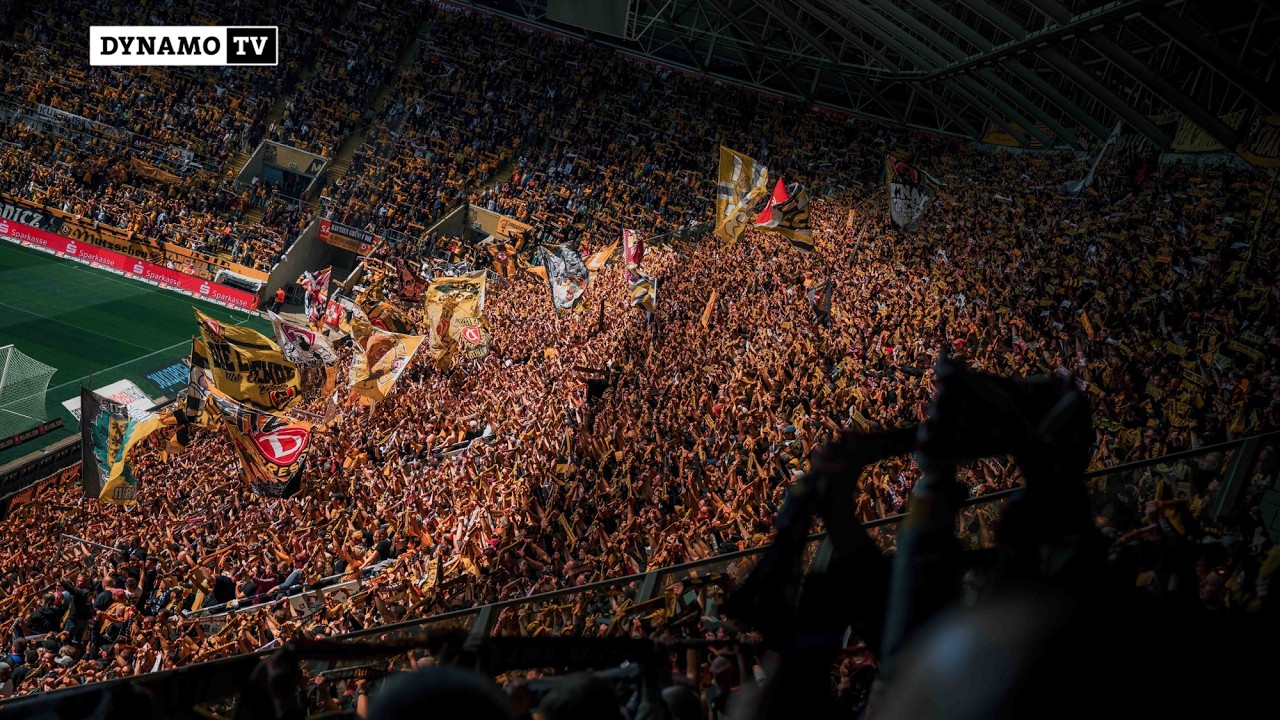 35. Spieltag | SGD - SVS | Schwarz-gelbe Flimmerkiste