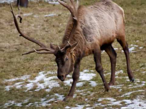 Heather Herd Photo 11