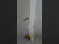 Where to Apply a Bond Breaker in a Bathroom Before Waterproofing