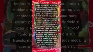 #baralhocigano #oxossi #okearo #conselhodoespiritismo #minivlog
