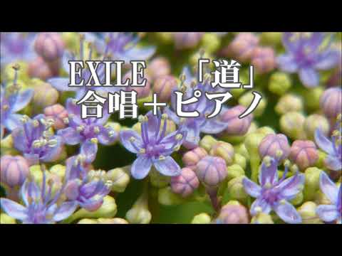 若松歓　EXILE　「道」　全パート