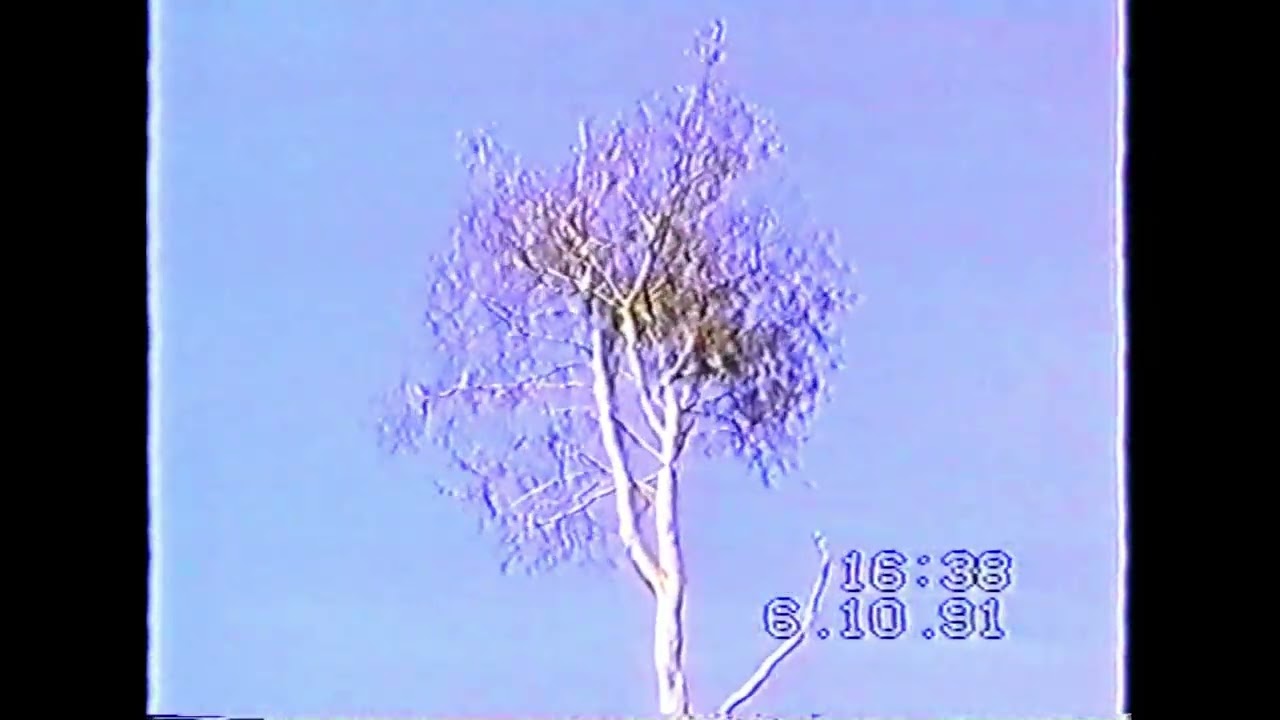 Watch Parasite - Hascombe Beeches (Official Video) on YouTube Watch Parasite - Hascombe Beeches (Official Video) on YouTube