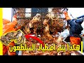 هذا هو الصيد الكبير لن تصدق كمية السلطعون التي تم اصطيادها