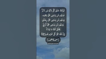 سورة النور الآية ٤٤ و ٤٥ بصوت الشيخ محمد صديق المنشاوي