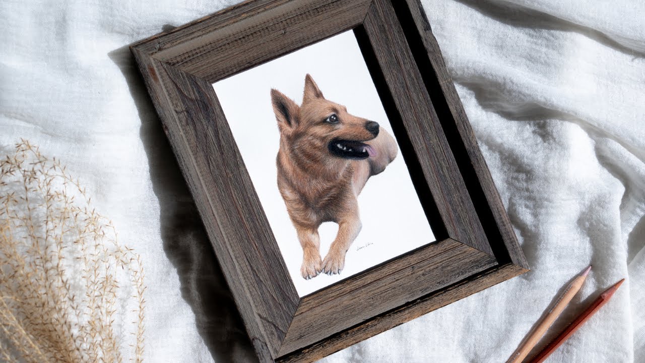 A photogenic Carolina dog | A colored pencil timelapse