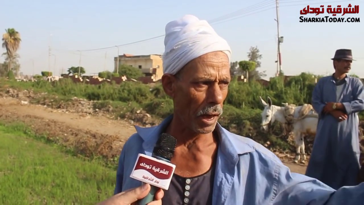 الخراب يطارد فلاحين القنايات شرقية بسبب مياه الري