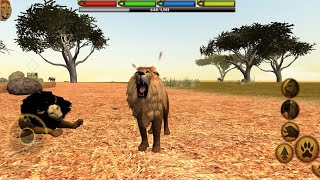 Lion Simulator Game | Lion Hunting Simulator Game | Wild Animal Simulator Lion Vs Tiger Game - #4