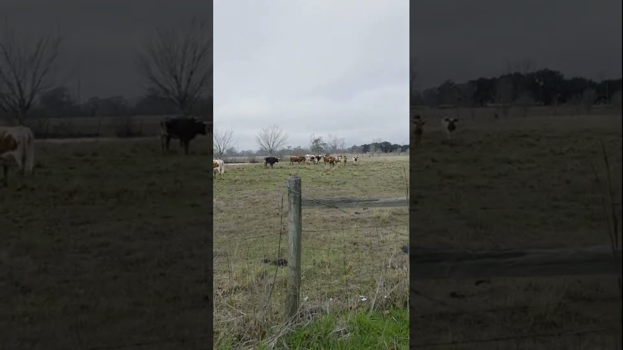 Как девушки на самом деле делают друг другу комплименты в интернете 😂 Интернет-безумие 