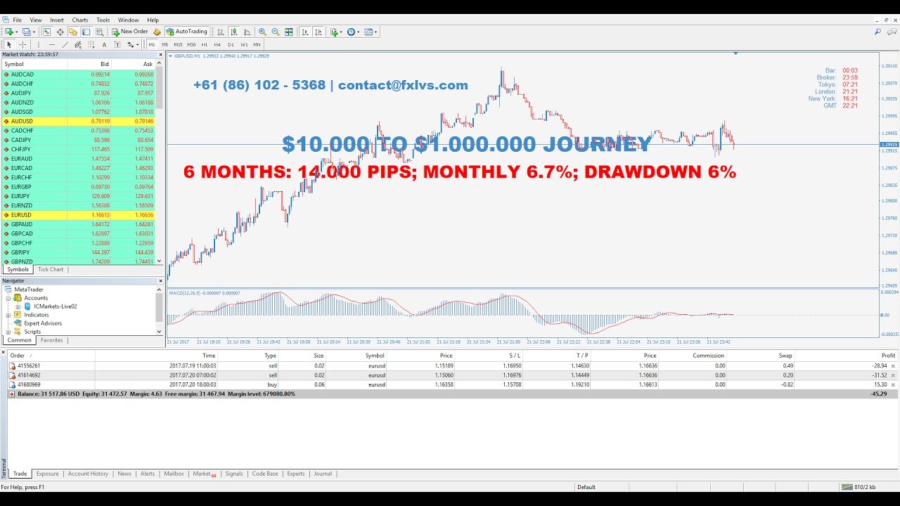 Forexlive youtube
