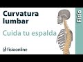 Curvatura Lumbar, la clave para la salud de la espalda.