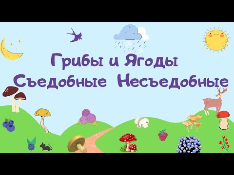 Грибы и Ягоды. Съедобные и Несъедобные. Обучающее видео для детей.