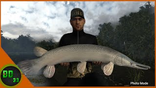 Fishing for GIANTS at Quanchkin Lake! Fishing Planet 2020