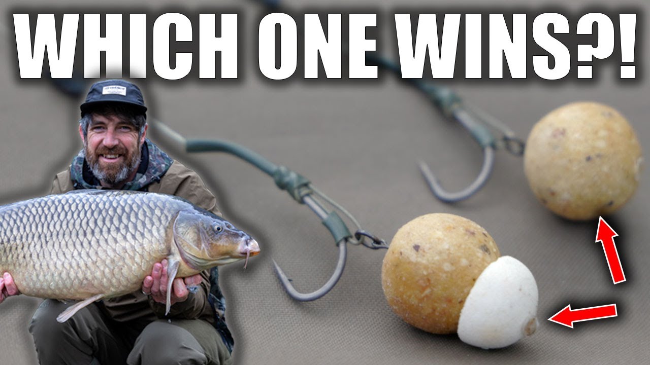 NOBODY DOES THIS!! Carp fishing Hookbaits Test 