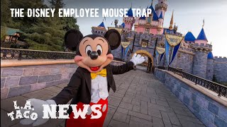 MOUSETRAP: This is What It's Really Like to Work for Disneyland