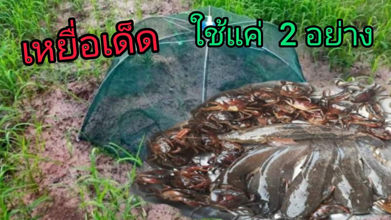 ดักกุ้ง  