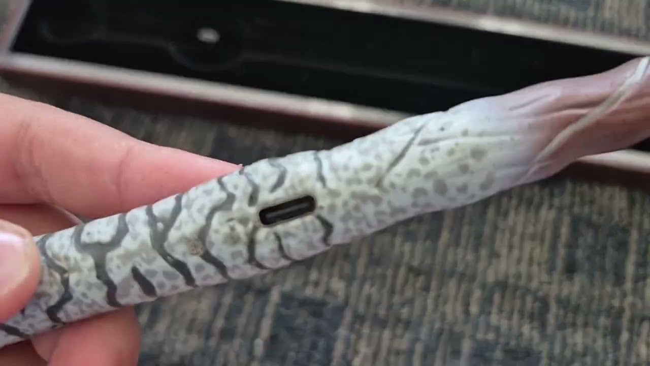 Harry potter magic caster wand ✨️ 👌 😎