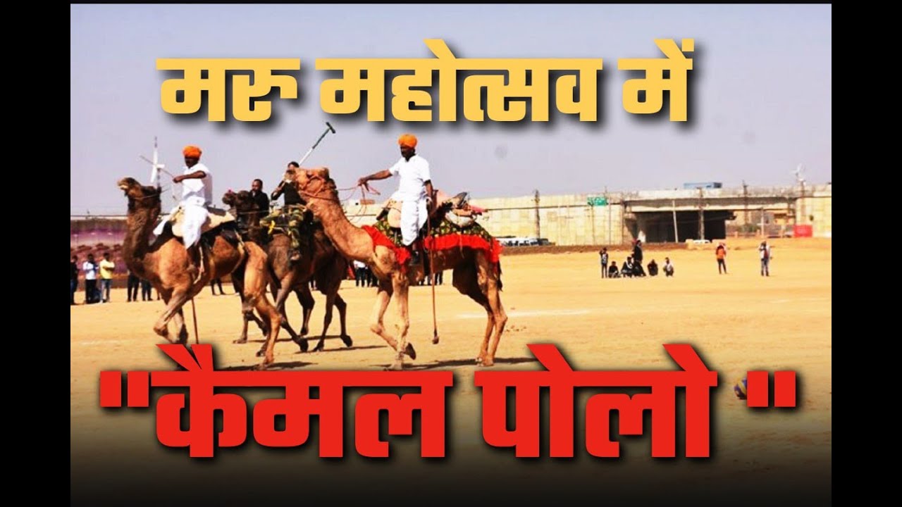 मरु महोत्सव में "कैमल पोलो " | Maru Mahotsav  | CamelPolo
