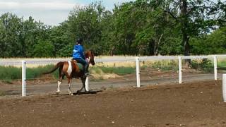 Hannah and raz 2 Details