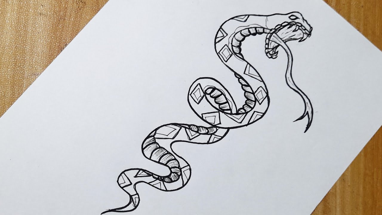 How to draw a cobra snake easy step by step - YouTube