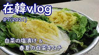 【在韓vlog】#7(2021),春夏用の白菜キムチを漬けました。白菜の塩漬け方法について詳しく紹介しています