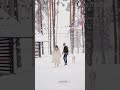 Ljubav-(@motivatorrk)