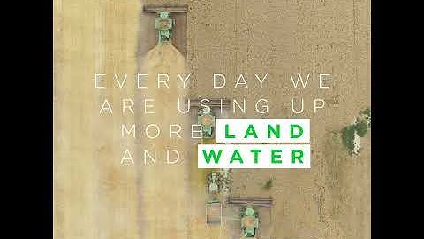 What can I do? Eat More Plants