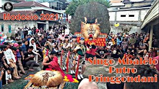 Modosio 2021, Reog Ponorogo SINGO MBALELO Putro Pringgondani, Blumbang, Tawangmangu