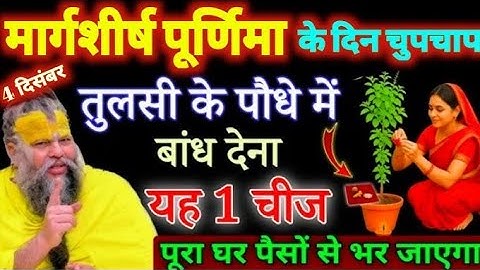 4 दिसंबर पूर्णिमा व्रत के दिन तुलसी से बांध दे यह ये 1 चीज कंगाल से करोड़पति बन जाओगे Purnima Vrat